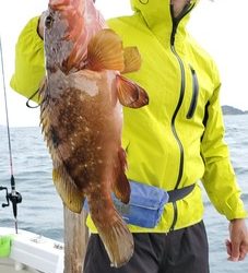 遊漁船　ニライカナイ 釣果