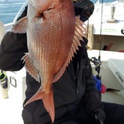 遊漁船 ニライカナイ 釣果
