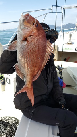 遊漁船 ニライカナイ 釣果