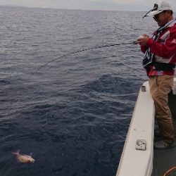 IDATEN(イダテン) 釣果