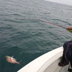 IDATEN（イダテン） 釣果