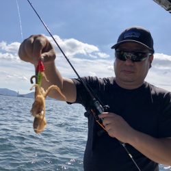 Magic(マジック) 釣果