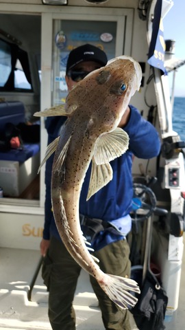 遊漁船　ニライカナイ 釣果