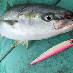 広進丸 釣果