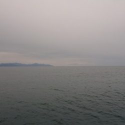 IDATEN（イダテン） 釣果