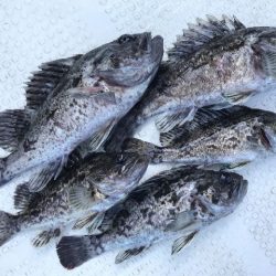 TOPGUN名古屋 釣果