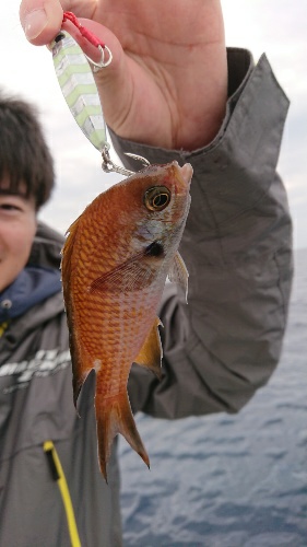 IDATEN(イダテン) 釣果