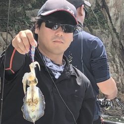 Magic(マジック) 釣果