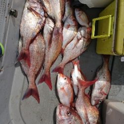 IDATEN（イダテン） 釣果