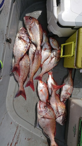 IDATEN（イダテン） 釣果