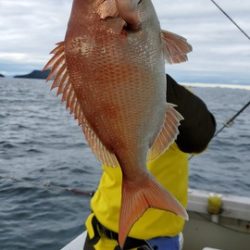 遊漁船 ニライカナイ 釣果