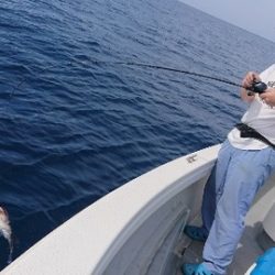 IDATEN(イダテン) 釣果