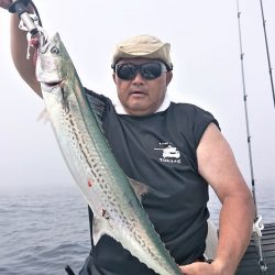 気仙沼　つり丸 釣果