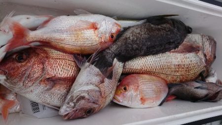 IDATEN(イダテン) 釣果