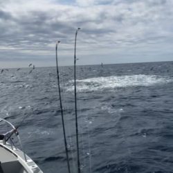 へいみつ丸 釣果