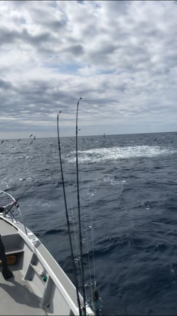 へいみつ丸 釣果