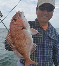 遊漁船　ニライカナイ 釣果