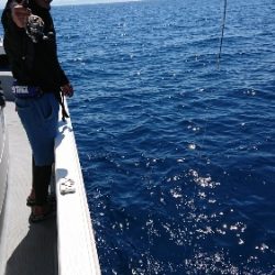 IDATEN(イダテン) 釣果