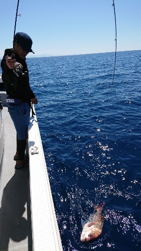 IDATEN(イダテン) 釣果