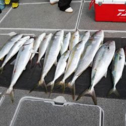 第二大福丸 釣果