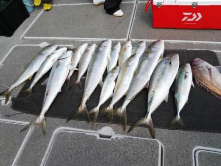 第二大福丸 釣果