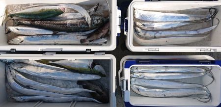 気仙沼　つり丸 釣果