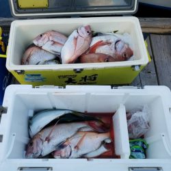 遊漁船 ニライカナイ 釣果