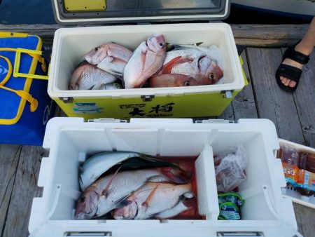遊漁船 ニライカナイ 釣果