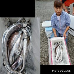 桑田観光 釣果