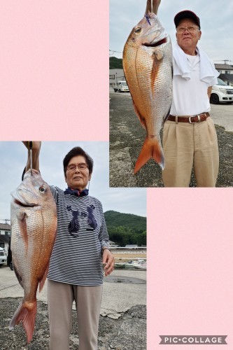 桑田観光 釣果