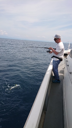 IDATEN(イダテン) 釣果