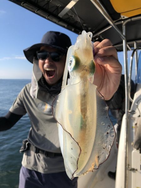 Magic（マジック） 釣果