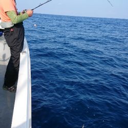 IDATEN(イダテン) 釣果