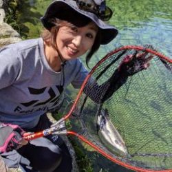 フィッシング サンクチュアリ 釣果