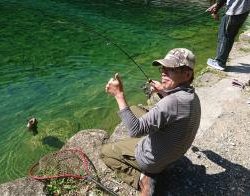 フィッシング サンクチュアリ 釣果