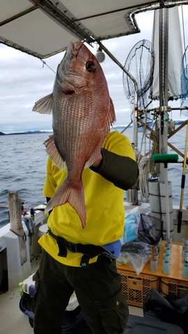 遊漁船 ニライカナイ 釣果