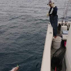 IDATEN(イダテン) 釣果