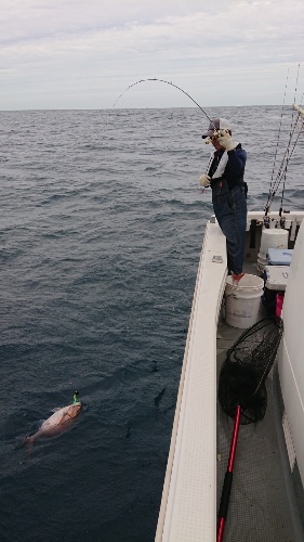 IDATEN(イダテン) 釣果