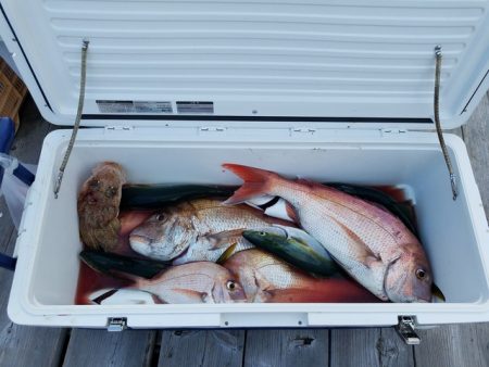 遊漁船　ニライカナイ 釣果