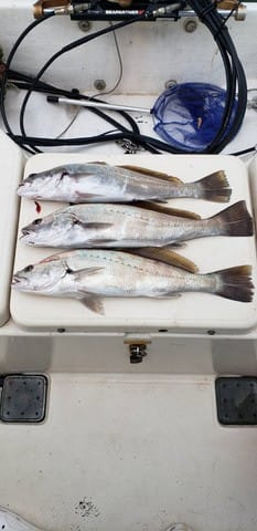 開進丸 釣果