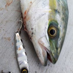 持ってて損はないジャックアイエース ！【ハヤブサ（Hayabusa）ジャックアイエース　インプレッション】