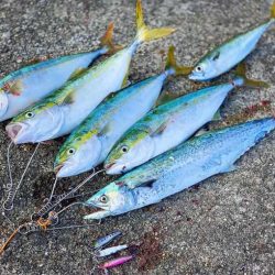 水中の変化が分かる、ジャックアイエース 【ハヤブサ（Hayabusa）ジャックアイエース　インプレッション】