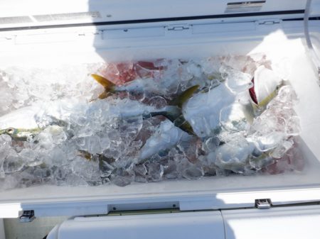 遊漁船 遊友 釣果