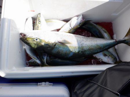 遊漁船 遊友 釣果