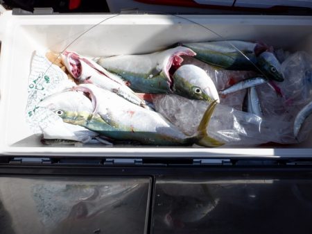 遊漁船 遊友 釣果