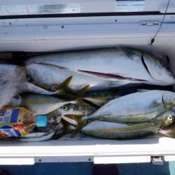 遊漁船 遊友 釣果