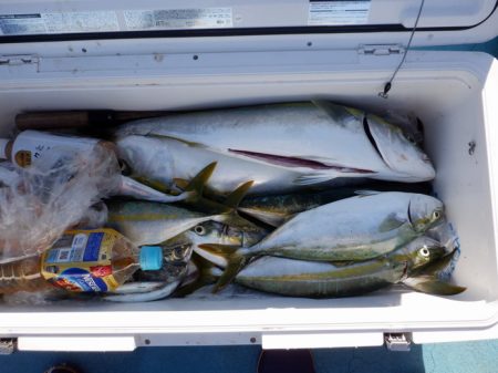 遊漁船 遊友 釣果