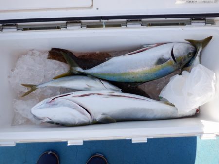 遊漁船 遊友 釣果