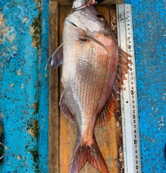 幸吉丸 釣果