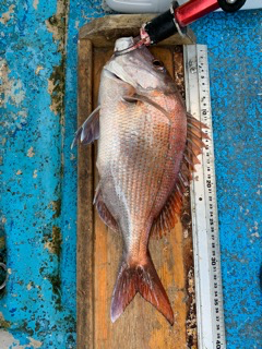 幸吉丸 釣果